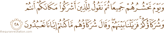 وَيَوْمَ نَحْشُرُهُمْ جَمِيعًا ثُمَّ نَقُولُ لِلَّذِينَ أَشْرَكُوا مَكَانَكُمْ أَنْتُمْ وَشُرَكَاؤُكُمْ ۚ فَزَيَّلْنَا بَيْنَهُمْ ۖ وَقَالَ شُرَكَاؤُهُمْ مَا كُنْتُمْ إِيَّانَا تَعْبُدُونَ