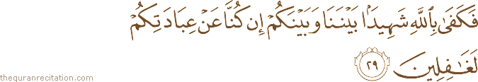 فَكَفَىٰ بِاللَّهِ شَهِيدًا بَيْنَنَا وَبَيْنَكُمْ إِنْ كُنَّا عَنْ عِبَادَتِكُمْ لَغَافِلِينَ