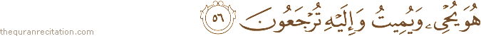 هُوَ يُحْيِي وَيُمِيتُ وَإِلَيْهِ تُرْجَعُونَ