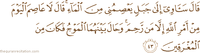 قَالَ سَآوِي إِلَىٰ جَبَلٍ يَعْصِمُنِي مِنَ الْمَاءِ ۚ قَالَ لَا عَاصِمَ الْيَوْمَ مِنْ أَمْرِ اللَّهِ إِلَّا مَنْ رَحِمَ ۚ وَحَالَ بَيْنَهُمَا الْمَوْجُ فَكَانَ مِنَ الْمُغْرَقِينَ
