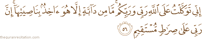 إِنِّي تَوَكَّلْتُ عَلَى اللَّهِ رَبِّي وَرَبِّكُمْ ۚ مَا مِنْ دَابَّةٍ إِلَّا هُوَ آخِذٌ بِنَاصِيَتِهَا ۚ إِنَّ رَبِّي عَلَىٰ صِرَاطٍ مُسْتَقِيمٍ
