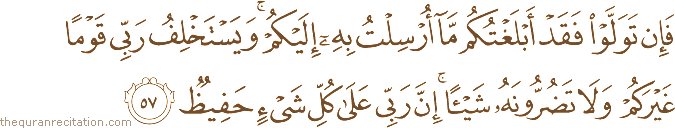 فَإِنْ تَوَلَّوْا فَقَدْ أَبْلَغْتُكُمْ مَا أُرْسِلْتُ بِهِ إِلَيْكُمْ ۚ وَيَسْتَخْلِفُ رَبِّي قَوْمًا غَيْرَكُمْ وَلَا تَضُرُّونَهُ شَيْئًا ۚ إِنَّ رَبِّي عَلَىٰ كُلِّ شَيْءٍ حَفِيظٌ