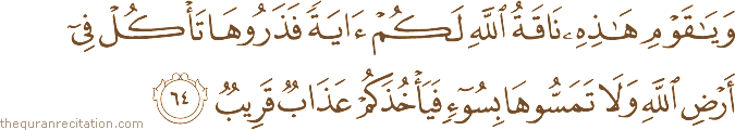 وَيَا قَوْمِ هَٰذِهِ نَاقَةُ اللَّهِ لَكُمْ آيَةً فَذَرُوهَا تَأْكُلْ فِي أَرْضِ اللَّهِ وَلَا تَمَسُّوهَا بِسُوءٍ فَيَأْخُذَكُمْ عَذَابٌ قَرِيبٌ