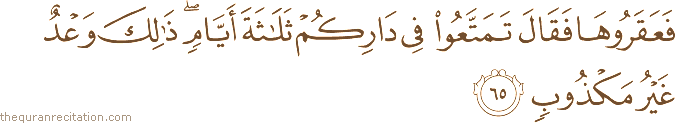 فَعَقَرُوهَا فَقَالَ تَمَتَّعُوا فِي دَارِكُمْ ثَلَاثَةَ أَيَّامٍ ۖ ذَٰلِكَ وَعْدٌ غَيْرُ مَكْذُوبٍ