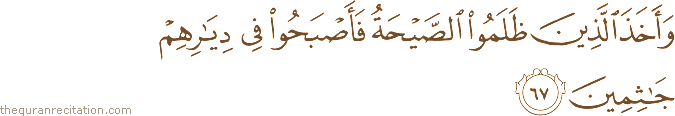 وَأَخَذَ الَّذِينَ ظَلَمُوا الصَّيْحَةُ فَأَصْبَحُوا فِي دِيَارِهِمْ جَاثِمِينَ