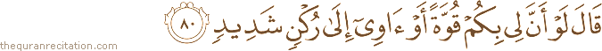 قَالَ لَوْ أَنَّ لِي بِكُمْ قُوَّةً أَوْ آوِي إِلَىٰ رُكْنٍ شَدِيدٍ