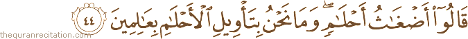 قَالُوا أَضْغَاثُ أَحْلَامٍ ۖ وَمَا نَحْنُ بِتَأْوِيلِ الْأَحْلَامِ بِعَالِمِينَ