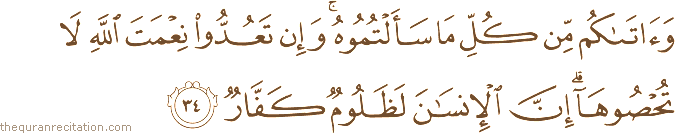 وَآتَاكُمْ مِنْ كُلِّ مَا سَأَلْتُمُوهُ ۚ وَإِنْ تَعُدُّوا نِعْمَتَ اللَّهِ لَا تُحْصُوهَا ۗ إِنَّ الْإِنْسَانَ لَظَلُومٌ كَفَّارٌ