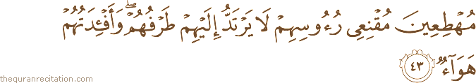 مُهْطِعِينَ مُقْنِعِي رُءُوسِهِمْ لَا يَرْتَدُّ إِلَيْهِمْ طَرْفُهُمْ ۖ وَأَفْئِدَتُهُمْ هَوَاءٌ