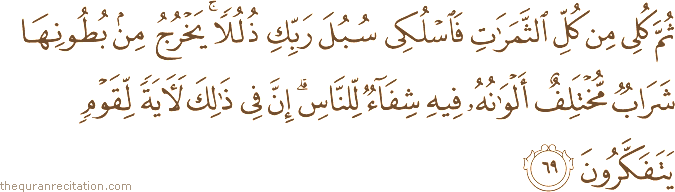 ثُمَّ كُلِي مِنْ كُلِّ الثَّمَرَاتِ فَاسْلُكِي سُبُلَ رَبِّكِ ذُلُلًا ۚ يَخْرُجُ مِنْ بُطُونِهَا شَرَابٌ مُخْتَلِفٌ أَلْوَانُهُ فِيهِ شِفَاءٌ لِلنَّاسِ ۗ إِنَّ فِي ذَٰلِكَ لَآيَةً لِقَوْمٍ يَتَفَكَّرُونَ