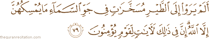 أَلَمْ يَرَوْا إِلَى الطَّيْرِ مُسَخَّرَاتٍ فِي جَوِّ السَّمَاءِ مَا يُمْسِكُهُنَّ إِلَّا اللَّهُ ۗ إِنَّ فِي ذَٰلِكَ لَآيَاتٍ لِقَوْمٍ يُؤْمِنُونَ