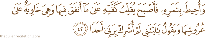 وَأُحِيطَ بِثَمَرِهِ فَأَصْبَحَ يُقَلِّبُ كَفَّيْهِ عَلَىٰ مَا أَنْفَقَ فِيهَا وَهِيَ خَاوِيَةٌ عَلَىٰ عُرُوشِهَا وَيَقُولُ يَا لَيْتَنِي لَمْ أُشْرِكْ بِرَبِّي أَحَدًا