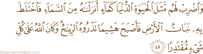 وَاضْرِبْ لَهُمْ مَثَلَ الْحَيَاةِ الدُّنْيَا كَمَاءٍ أَنْزَلْنَاهُ مِنَ السَّمَاءِ فَاخْتَلَطَ بِهِ نَبَاتُ الْأَرْضِ فَأَصْبَحَ هَشِيمًا تَذْرُوهُ الرِّيَاحُ ۗ وَكَانَ اللَّهُ عَلَىٰ كُلِّ شَيْءٍ مُقْتَدِرًا