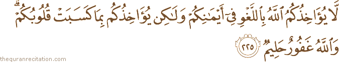 لَا يُؤَاخِذُكُمُ اللَّهُ بِاللَّغْوِ فِي أَيْمَانِكُمْ وَلَٰكِنْ يُؤَاخِذُكُمْ بِمَا كَسَبَتْ قُلُوبُكُمْ ۗ وَاللَّهُ غَفُورٌ حَلِيمٌ