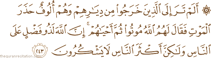 أَلَمْ تَرَ إِلَى الَّذِينَ خَرَجُوا مِنْ دِيَارِهِمْ وَهُمْ أُلُوفٌ حَذَرَ الْمَوْتِ فَقَالَ لَهُمُ اللَّهُ مُوتُوا ثُمَّ أَحْيَاهُمْ ۚ إِنَّ اللَّهَ لَذُو فَضْلٍ عَلَى النَّاسِ وَلَٰكِنَّ أَكْثَرَ النَّاسِ لَا يَشْكُرُونَ