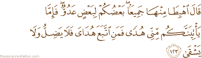 قَالَ اهْبِطَا مِنْهَا جَمِيعًا ۖ بَعْضُكُمْ لِبَعْضٍ عَدُوٌّ ۖ فَإِمَّا يَأْتِيَنَّكُمْ مِنِّي هُدًى فَمَنِ اتَّبَعَ هُدَايَ فَلَا يَضِلُّ وَلَا يَشْقَىٰ