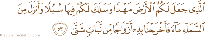 الَّذِي جَعَلَ لَكُمُ الْأَرْضَ مَهْدًا وَسَلَكَ لَكُمْ فِيهَا سُبُلًا وَأَنْزَلَ مِنَ السَّمَاءِ مَاءً فَأَخْرَجْنَا بِهِ أَزْوَاجًا مِنْ نَبَاتٍ شَتَّىٰ