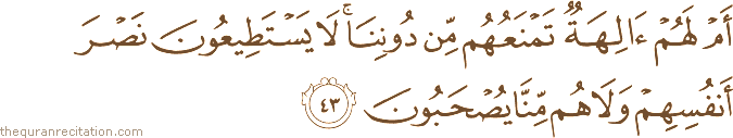 أَمْ لَهُمْ آلِهَةٌ تَمْنَعُهُمْ مِنْ دُونِنَا ۚ لَا يَسْتَطِيعُونَ نَصْرَ أَنْفُسِهِمْ وَلَا هُمْ مِنَّا يُصْحَبُونَ