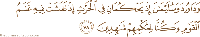 وَدَاوُودَ وَسُلَيْمَانَ إِذْ يَحْكُمَانِ فِي الْحَرْثِ إِذْ نَفَشَتْ فِيهِ غَنَمُ الْقَوْمِ وَكُنَّا لِحُكْمِهِمْ شَاهِدِينَ