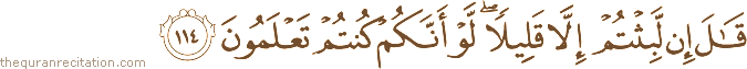 قَالَ إِنْ لَبِثْتُمْ إِلَّا قَلِيلًا ۖ لَوْ أَنَّكُمْ كُنْتُمْ تَعْلَمُونَ