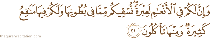 وَإِنَّ لَكُمْ فِي الْأَنْعَامِ لَعِبْرَةً ۖ نُسْقِيكُمْ مِمَّا فِي بُطُونِهَا وَلَكُمْ فِيهَا مَنَافِعُ كَثِيرَةٌ وَمِنْهَا تَأْكُلُونَ