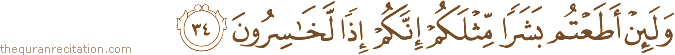 وَلَئِنْ أَطَعْتُمْ بَشَرًا مِثْلَكُمْ إِنَّكُمْ إِذًا لَخَاسِرُونَ