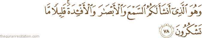 وَهُوَ الَّذِي أَنْشَأَ لَكُمُ السَّمْعَ وَالْأَبْصَارَ وَالْأَفْئِدَةَ ۚ قَلِيلًا مَا تَشْكُرُونَ