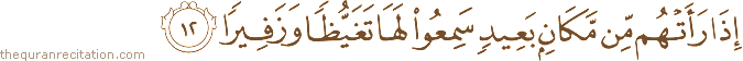 Surah / Chapter 25 : Ayah / Verse 12