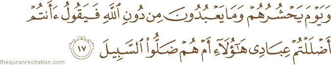Surah / Chapter 25 : Ayah / Verse 17
