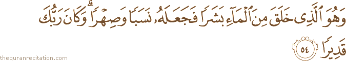 وَهُوَ الَّذِي خَلَقَ مِنَ الْمَاءِ بَشَرًا فَجَعَلَهُ نَسَبًا وَصِهْرًا ۗ وَكَانَ رَبُّكَ قَدِيرًا