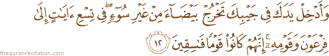 Surah / Chapter 27 : Ayah / Verse 12