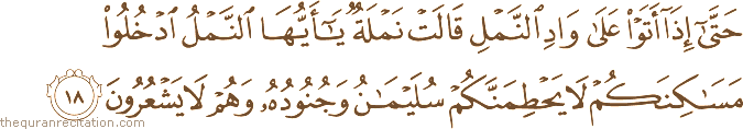 Surah / Chapter 27 : Ayah / Verse 18