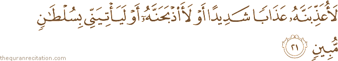 لَأُعَذِّبَنَّهُ عَذَابًا شَدِيدًا أَوْ لَأَذْبَحَنَّهُ أَوْ لَيَأْتِيَنِّي بِسُلْطَانٍ مُبِينٍ