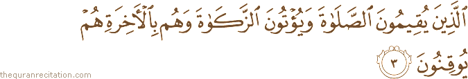 Surah / Chapter 27 : Ayah / Verse 3