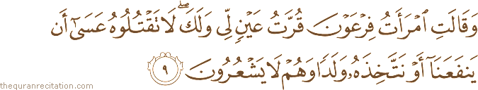 Surah / Chapter 28 : Ayah / Verse 9
