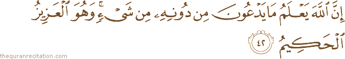 إِنَّ اللَّهَ يَعْلَمُ مَا يَدْعُونَ مِنْ دُونِهِ مِنْ شَيْءٍ ۚ وَهُوَ الْعَزِيزُ الْحَكِيمُ