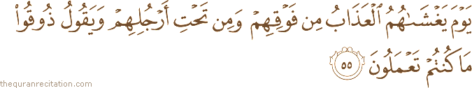 يَوْمَ يَغْشَاهُمُ الْعَذَابُ مِنْ فَوْقِهِمْ وَمِنْ تَحْتِ أَرْجُلِهِمْ وَيَقُولُ ذُوقُوا مَا كُنْتُمْ تَعْمَلُونَ