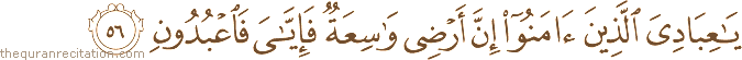 يَا عِبَادِيَ الَّذِينَ آمَنُوا إِنَّ أَرْضِي وَاسِعَةٌ فَإِيَّايَ فَاعْبُدُونِ