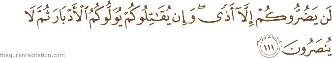 لَنْ يَضُرُّوكُمْ إِلَّا أَذًى ۖ وَإِنْ يُقَاتِلُوكُمْ يُوَلُّوكُمُ الْأَدْبَارَ ثُمَّ لَا يُنْصَرُونَ