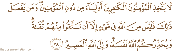 لَا يَتَّخِذِ الْمُؤْمِنُونَ الْكَافِرِينَ أَوْلِيَاءَ مِنْ دُونِ الْمُؤْمِنِينَ ۖ وَمَنْ يَفْعَلْ ذَٰلِكَ فَلَيْسَ مِنَ اللَّهِ فِي شَيْءٍ إِلَّا أَنْ تَتَّقُوا مِنْهُمْ تُقَاةً ۗ وَيُحَذِّرُكُمُ اللَّهُ نَفْسَهُ ۗ وَإِلَى اللَّهِ الْمَصِيرُ