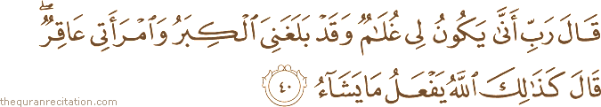 قَالَ رَبِّ أَنَّىٰ يَكُونُ لِي غُلَامٌ وَقَدْ بَلَغَنِيَ الْكِبَرُ وَامْرَأَتِي عَاقِرٌ ۖ قَالَ كَذَٰلِكَ اللَّهُ يَفْعَلُ مَا يَشَاءُ