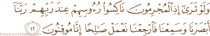 Surah / Chapter 32 : Ayah / Verse 12