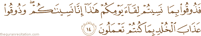 Surah / Chapter 32 : Ayah / Verse 14