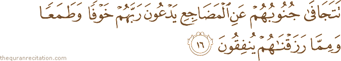 Surah / Chapter 32 : Ayah / Verse 16