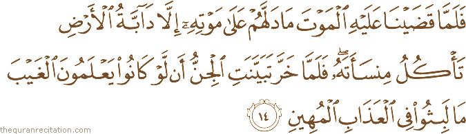 Surah / Chapter 34 : Ayah / Verse 14