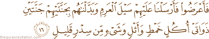 Surah / Chapter 34 : Ayah / Verse 16