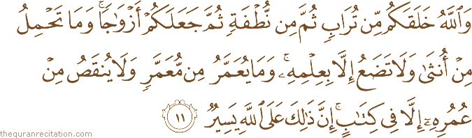 Surah / Chapter 35 : Ayah / Verse 11
