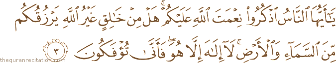 Surah / Chapter 35 : Ayah / Verse 3