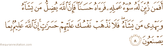 Surah / Chapter 35 : Ayah / Verse 8