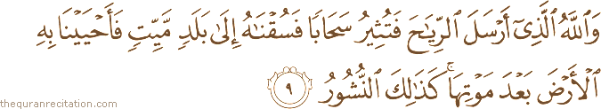 Surah / Chapter 35 : Ayah / Verse 9